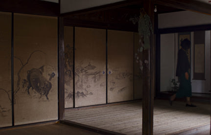 ​Constructed Views: Toma Unrestored