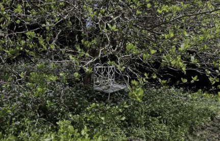  Great Gardens: A Writer's Retreat