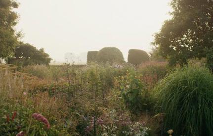  Great Gardens: Into The Wild