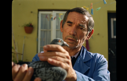 Portrait of a Place: O Jogo Dos Pombos