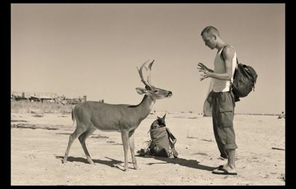 Photographers in Focus: Wolfgang Tillmans