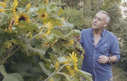  Great Gardens: Jardin en Cévennes