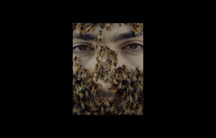 ​NOWNESS Experiments: SISYPHE