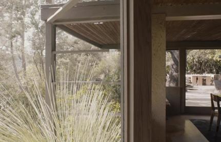 In Residence: Pamela Shamshiri