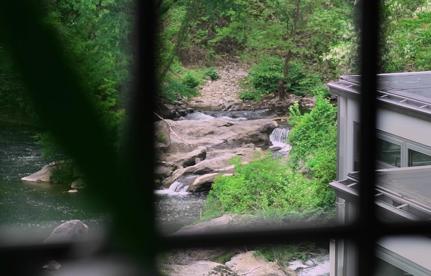 Great Gardens: Hilton Carter