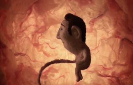 NOWNESS Shorts: Edmond