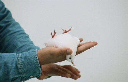 Private View: Laure Prouvost and Martha Kirszenbaum