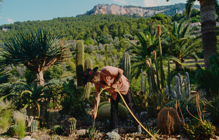 Great Gardens: Hotel Corazón, Balearic Islands